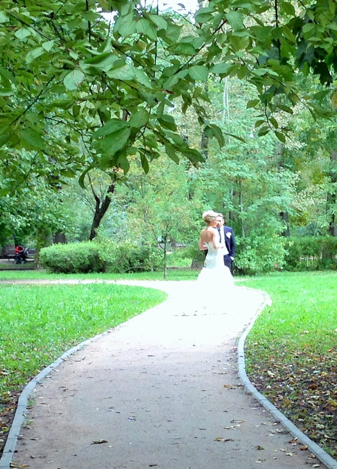 Воронцовский парк (2)