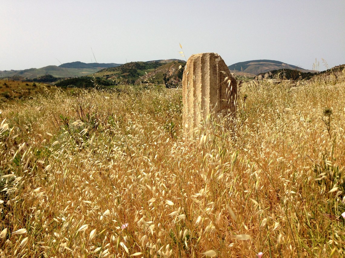 20150514_092832423_iOS