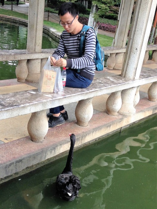 20160922_083721348_ios