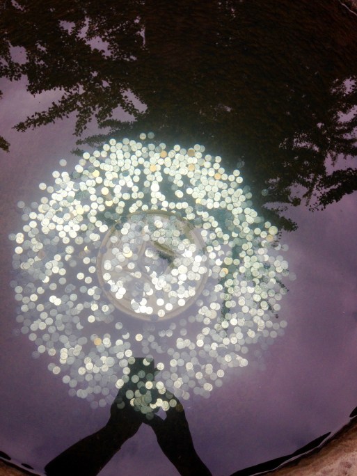 20160922_091158080_ios