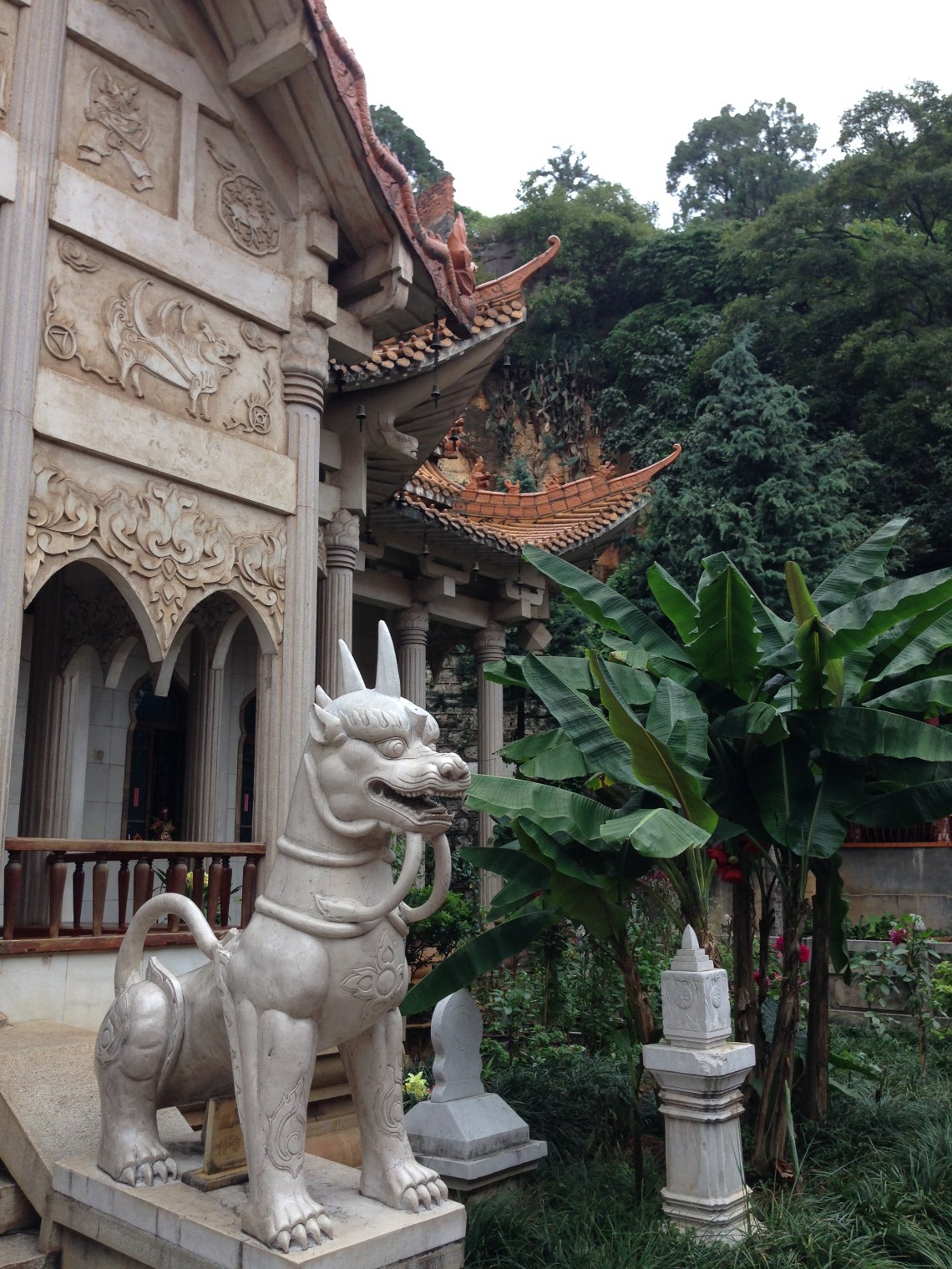 20160923_073235404_ios