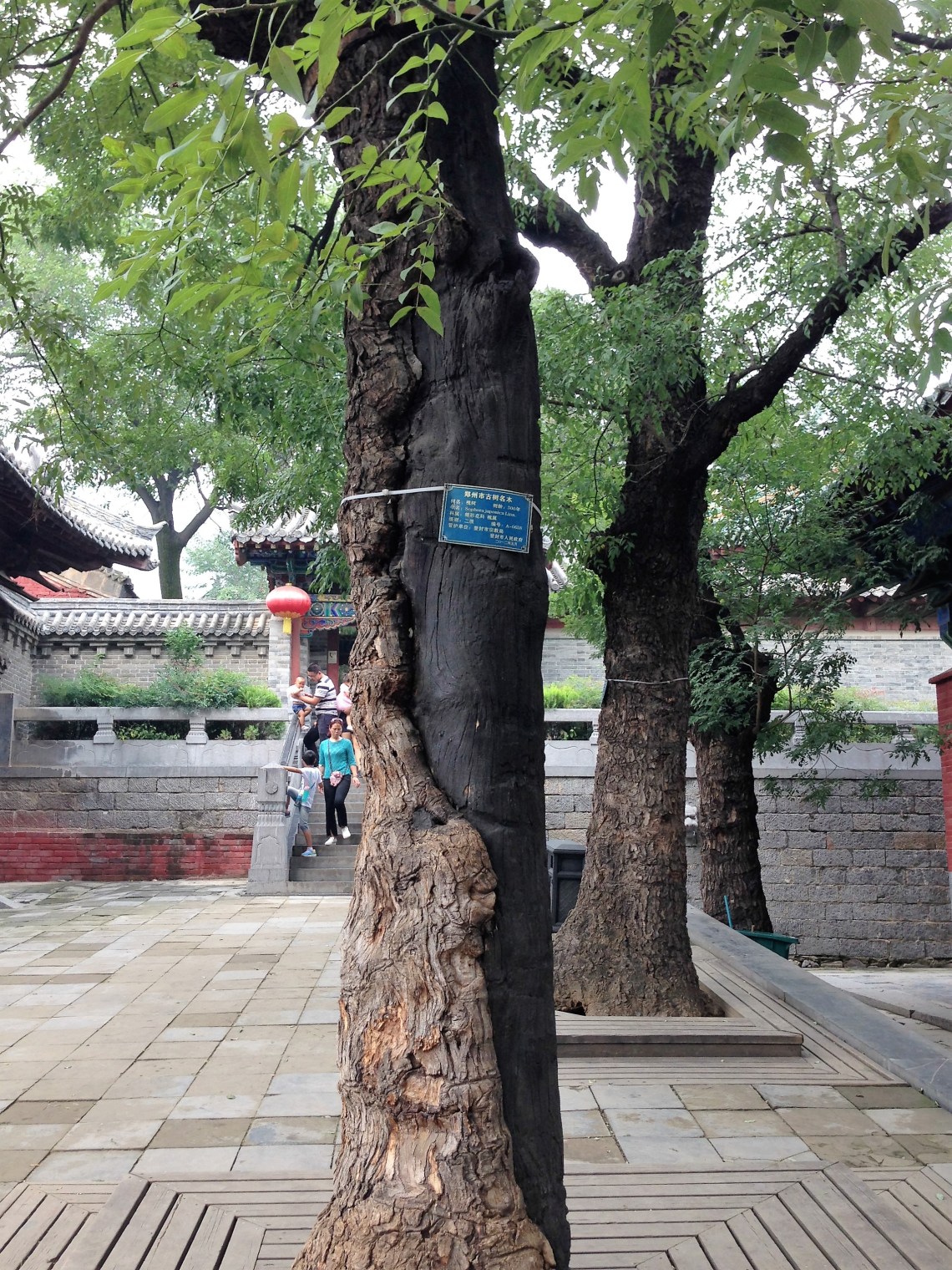 20160917_044901002_ios