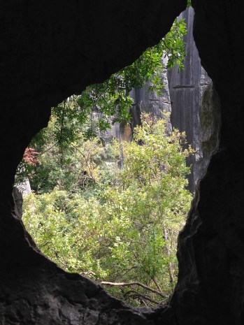 20160923_032102017_ios